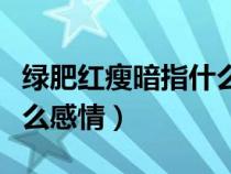 绿肥红瘦暗指什么感情的人（绿肥红瘦暗指什么感情）