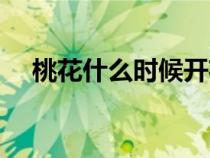 桃花什么时候开花（樱花什么时候开花）