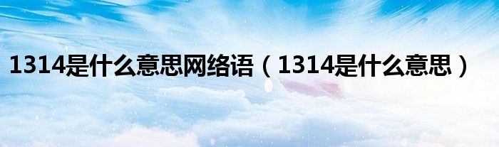 1314是什么意思网络语（1314是什么意思）