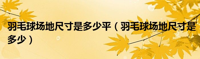 羽毛球场地尺寸是多少平（羽毛球场地尺寸是多少）