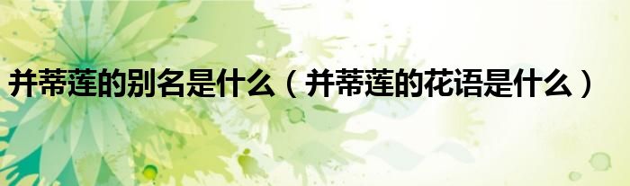并蒂莲的别名是什么（并蒂莲的花语是什么）