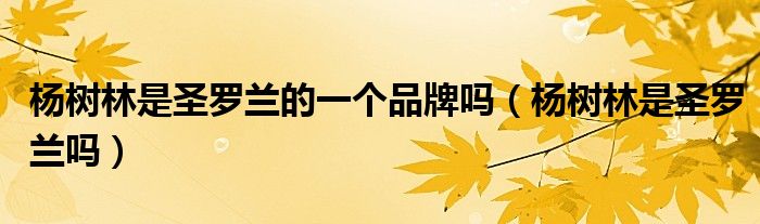 杨树林是圣罗兰的一个品牌吗（杨树林是圣罗兰吗）