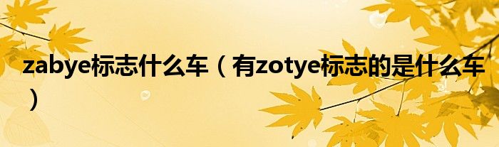 zabye标志什么车（有zotye标志的是什么车）