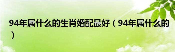 94年属什么的生肖婚配最好（94年属什么的）