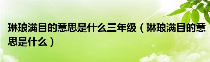 琳琅满目的意思是什么三年级（琳琅满目的意思是什么）
