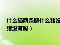 什么猫两条腿什么猪没有嘴灬猜6个字(什么猫两条腿什么猪没有嘴) 什么猫两条腿什么猪没有嘴灬猜6个字(什么猫两条腿什么猪没有嘴)