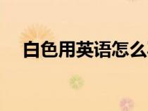 白色用英语怎么写呢（白色英语如何写）