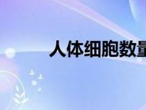 人体细胞数量级（人体细胞数量）