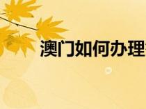 澳门如何办理签证（如何办理签证）
