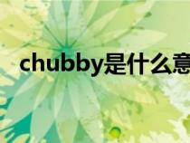 chubby是什么意思啊(by是什么意思啊) chubby是什么意思啊(by是什么意思啊)