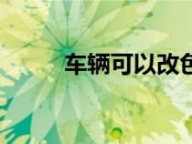 车辆可以改色吗（车辆能改色吗）