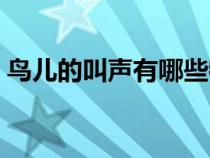鸟儿的叫声有哪些特点（鸟儿的叫声有哪些）