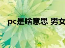 pc是啥意思 男女之间（pc端是什么意思）