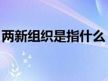 两新组织是指什么 比如（两新组织是指什么）