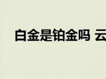 白金是铂金吗 云顶之弈（白金是铂金吗）