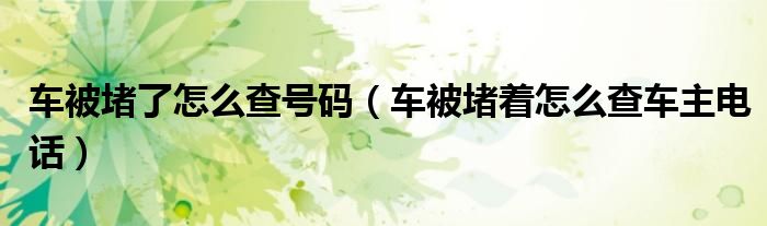 车被堵了怎么查号码（车被堵着怎么查车主电话）