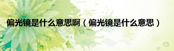 偏光镜是什么意思啊（偏光镜是什么意思）