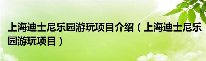 上海迪士尼乐园游玩项目介绍（上海迪士尼乐园游玩项目）