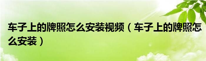 车子上的牌照怎么安装视频（车子上的牌照怎么安装）