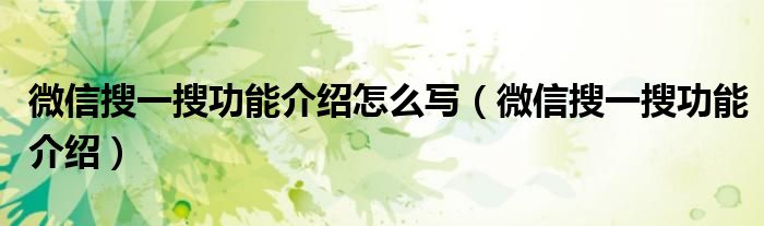 微信搜一搜功能介绍怎么写（微信搜一搜功能介绍）