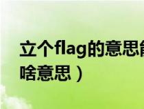 立个flag的意思能是褒义词吗?(立个flag是啥意思) 立个flag的意思能是褒义词吗?(立个flag是啥意思)