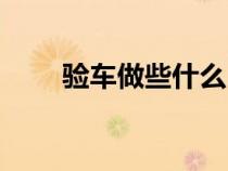 验车做些什么（验车主要检查什么）