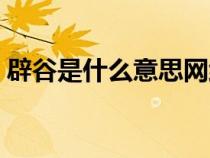 辟谷是什么意思网络用语（辟谷是什么意思）