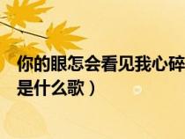 你的眼怎会看见我心碎是什么歌曲（你的眼怎会看见我心碎是什么歌）