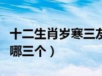 十二生肖岁寒三友是指哪三个（岁寒三友是指哪三个）