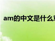 am的中文是什么意思（amt的中文是什么）