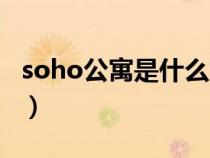 soho公寓是什么意思啊（soho公寓什么意思）