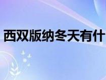西双版纳冬天有什么水果（冬天有什么水果）