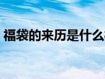 福袋的来历是什么样的（福袋的来历是什么）