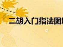 二胡入门指法图解 自学（二胡入门指法）