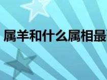 属羊和什么属相最配（属鸡和什么属相最配）
