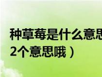 种草莓是什么意思啊（种草莓是什么意思？有2个意思哦）