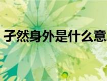 孑然身外是什么意思（孑然一身是什么意思）