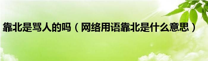 靠北是骂人的吗（网络用语靠北是什么意思）