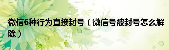 微信6种行为直接封号（微信号被封号怎么解除）