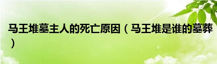 马王堆墓主人的死亡原因（马王堆是谁的墓葬）