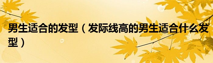 男生适合的发型（发际线高的男生适合什么发型）