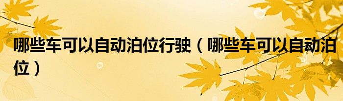 哪些车可以自动泊位行驶（哪些车可以自动泊位）