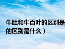 牛肚和牛百叶的区别是什么这么多的是什么（牛肚和牛百叶的区别是什么）