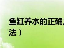 鱼缸养水的正确方法 新（鱼缸养水的正确方法）