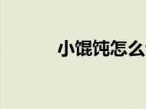 小馄饨怎么包（包馄饨怎么包）