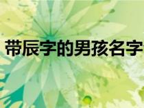 带辰字的男孩名字全部（带辰字的男孩名字）