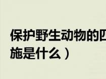 保护野生动物的四种方法（保护野生动物的措施是什么）