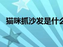 猫咪抓沙发是什么意思（沙发是什么意思）