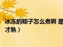 冰冻的粽子怎么煮啊 是蒸还是煮（冰冻的粽子一般要煮多久才熟）