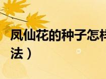 凤仙花的种子怎样旅行（凤仙花种子的旅行方法）
